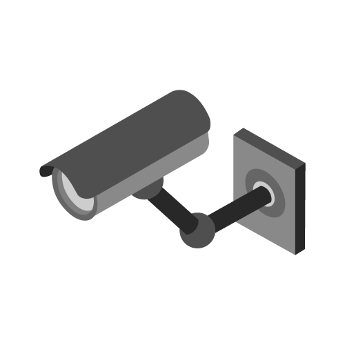 Security Cameras Audit