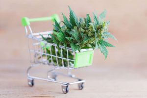 Cannabis retail and recreational marijuana dispensary
